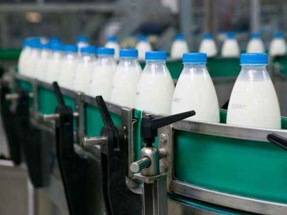 Polskie produkty mleczarskie w Indonezji i na Kubie 