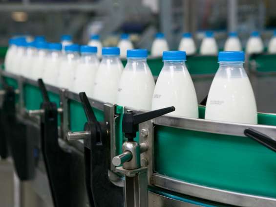 Eksport mleka i śmietany: więcej za mniej
