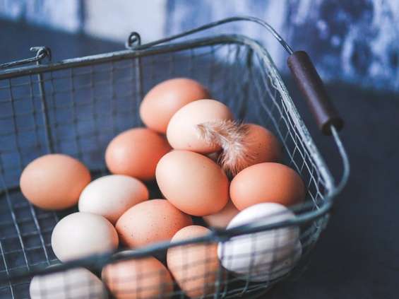 Selgros wycofuje się ze sprzedaży jaj z chowu klatkowego 