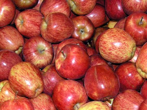 Przetwórcy jabłek opóźniają płatności 