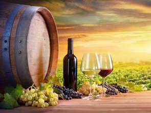 Centrum Wina oferuje wycieczki do winnic z całego świata