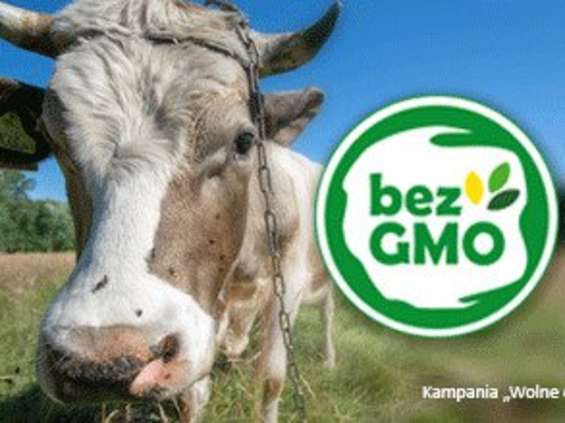 Zalety znakowania produktów wolnych od GMO 