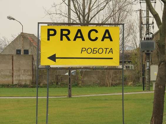 Z cudzoziemców w Polsce wciąż najwięcej pracuje Ukraińców 