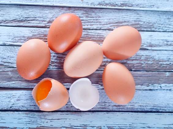 Salmonella w jajach ściółkowych 