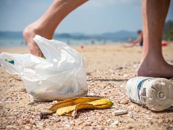 Lidl: z helskich plaż sprzątnięto niemal tonę śmieci 