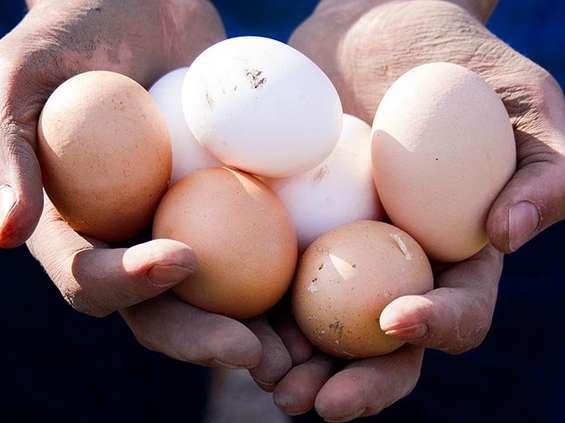 Nestlé mówi nie jajkom "trójkom" 