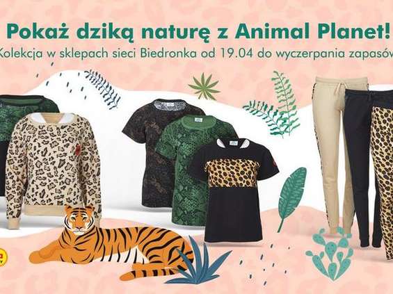 Ubrania z pazurem - wspólna kolekcja Biedronki i Animal Planet 