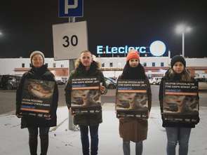 E.Leclerc nadal sprzedaje żywe karpie - protesty na Śląsku