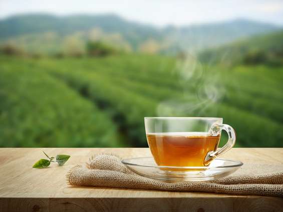 15 grudnia - Międzynarodowy Dzień Herbaty 