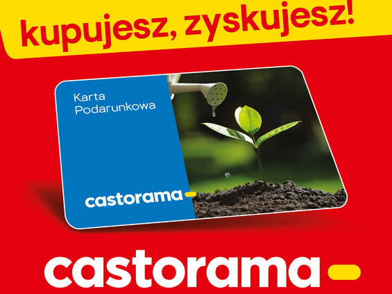 "100 za 1000 złotych" dla klientów Castorama 