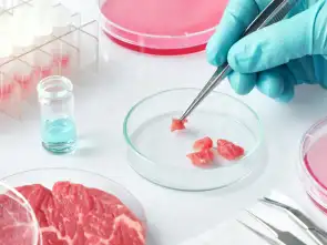 Mięso komórkowe mięsem przyszłości? Oto jest pytanie